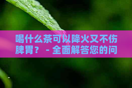 喝什么茶可以降火又不伤脾胃？ - 全面解答您的问题