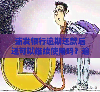 浦发银行逾期还款后还可以继续使用吗？逾期20天还款的违约金能撤销吗？