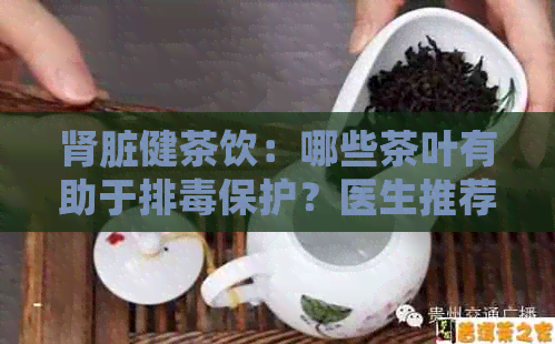 肾脏健茶饮：哪些茶叶有助于排保护？医生推荐的健饮品