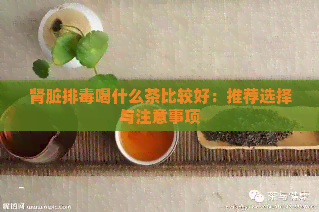 肾脏排喝什么茶比较好：推荐选择与注意事项