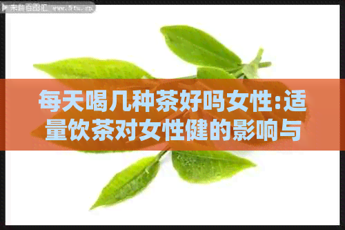 每天喝几种茶好吗女性:适量饮茶对女性健的影响与建议