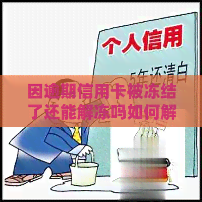 因逾期信用卡被冻结了还能解冻吗如何解决逾期后信用卡被冻结问题？