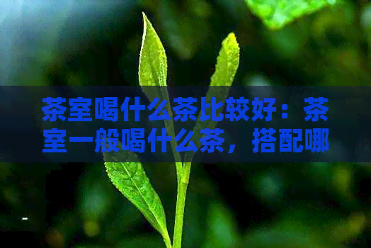 茶室喝什么茶比较好：茶室一般喝什么茶，搭配哪些茶点更美味？