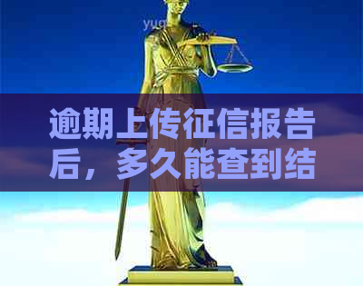 逾期上传报告后，多久能查到结果？报告的查询时间及相关注意事项