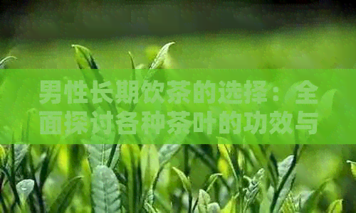 男性长期饮茶的选择：全面探讨各种茶叶的功效与适应人群