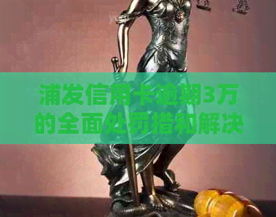 浦发信用卡逾期3万的全面处罚措和解决方案，让你了解逾期后果和应对策略