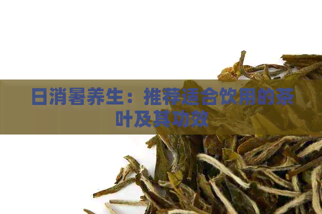 日消暑养生：推荐适合饮用的茶叶及其功效