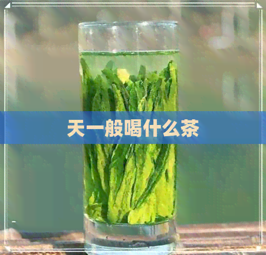 天一般喝什么茶