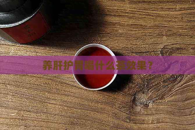 养肝护胃喝什么茶效果？