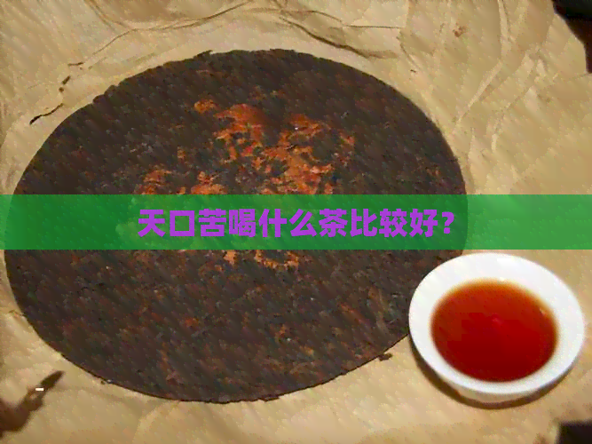 天口苦喝什么茶比较好？