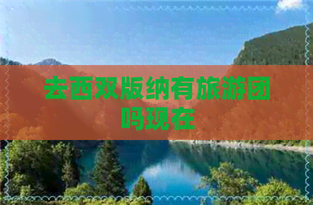 去西双版纳有旅游团吗现在