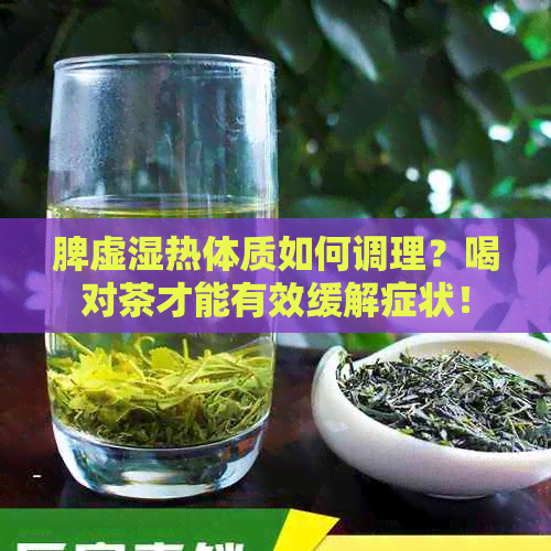 脾虚湿热体质如何调理？喝对茶才能有效缓解症状！