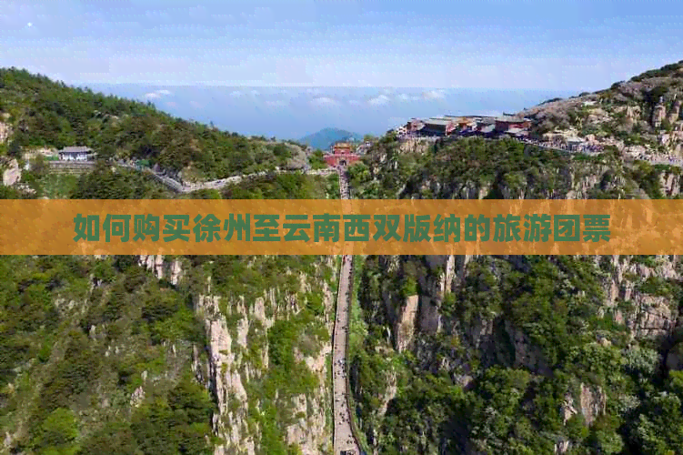 如何购买徐州至云南西双版纳的旅游团票