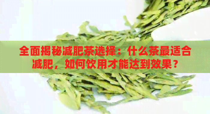 全面揭秘减肥茶选择：什么茶最适合减肥，如何饮用才能达到效果？