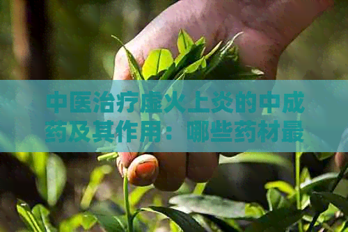 中医治疗虚火上炎的中成药及其作用：哪些药材最为有效？