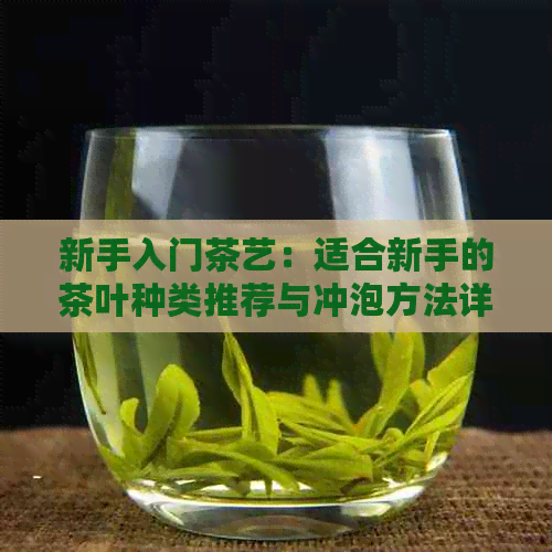 新手入门茶艺：适合新手的茶叶种类推荐与冲泡方法详解