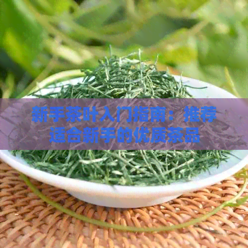 新手茶叶入门指南：推荐适合新手的优质茶品