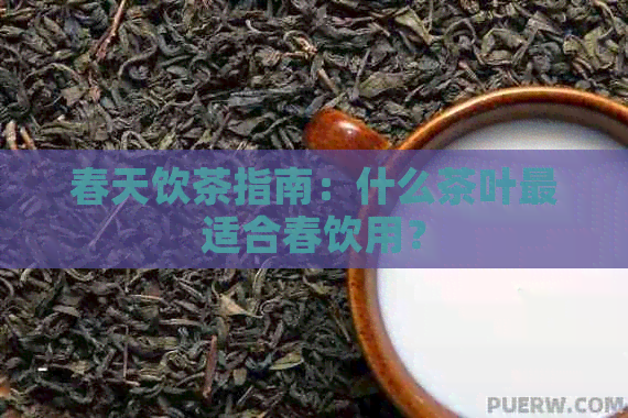 春天饮茶指南：什么茶叶最适合春饮用？