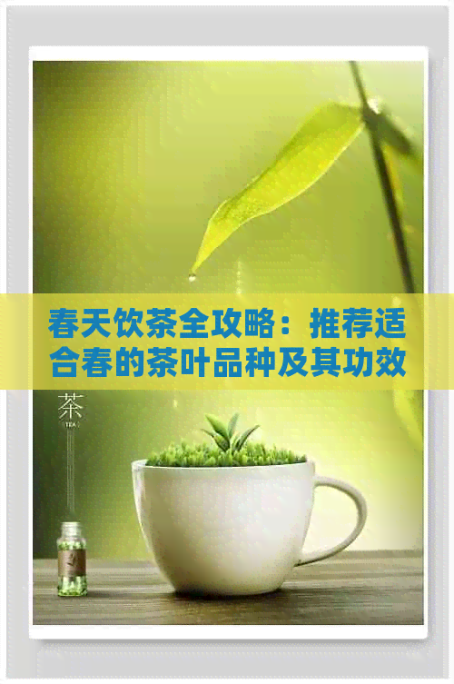 春天饮茶全攻略：推荐适合春的茶叶品种及其功效