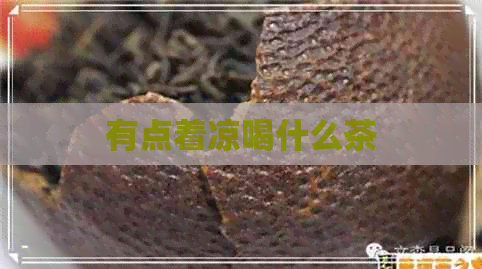 有点着凉喝什么茶