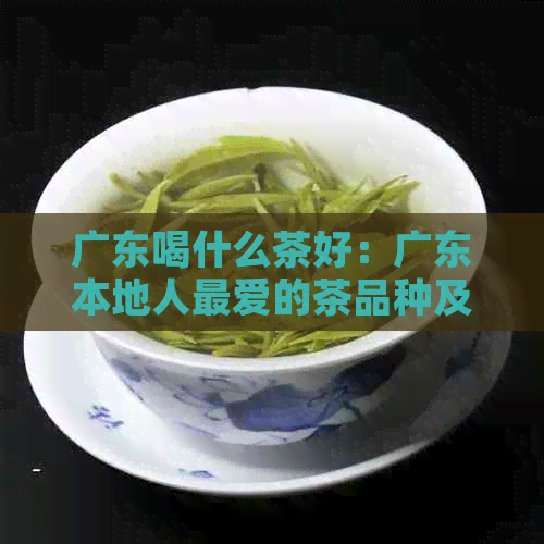 广东喝什么茶好：广东本地人更爱的茶品种及功效