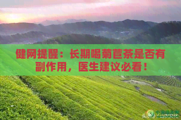 健网提醒：长期喝菊苣茶是否有副作用，医生建议必看！