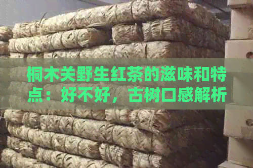 桐木关野生红茶的滋味和特点：好不好，古树口感解析