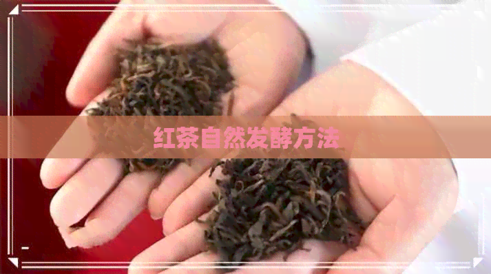 红茶自然发酵方法
