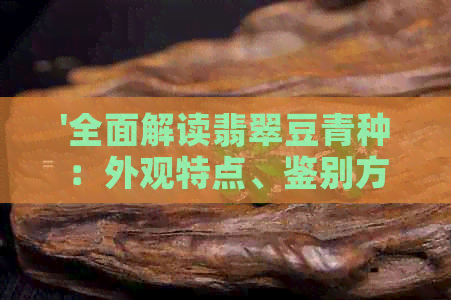 '全面解读翡翠豆青种：外观特点、鉴别方法及购买建议，助你轻松辨别真伪'