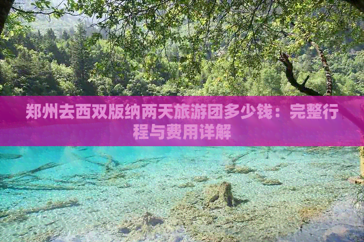 郑州去西双版纳两天旅游团多少钱：完整行程与费用详解