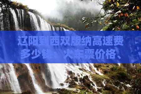 辽阳到西双版纳高速费多少钱：火车票价格、快递时间及路线详解