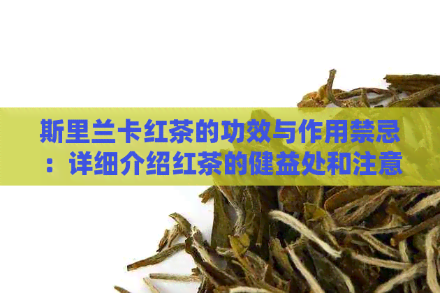 斯里兰卡红茶的功效与作用禁忌：详细介绍红茶的健益处和注意事项
