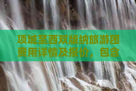 项城至西双版纳旅游团费用详情及报价，包含交通、住宿、景点等全面信息