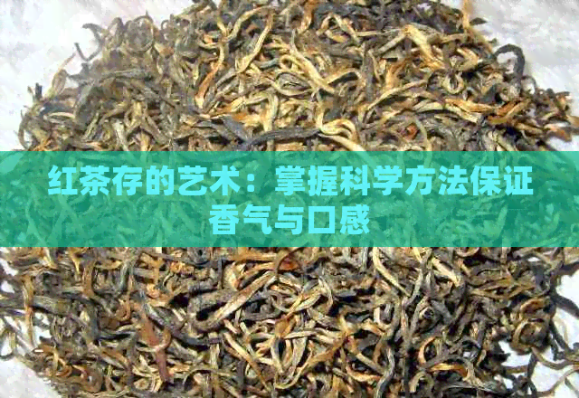 红茶存的艺术：掌握科学方法保证香气与口感