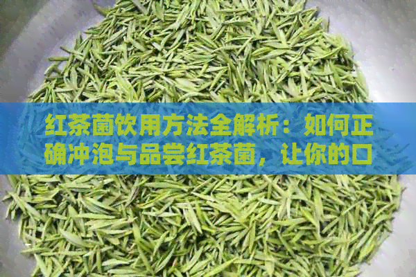 红茶菌饮用方法全解析：如何正确冲泡与品尝红茶菌，让你的口感更上一层楼