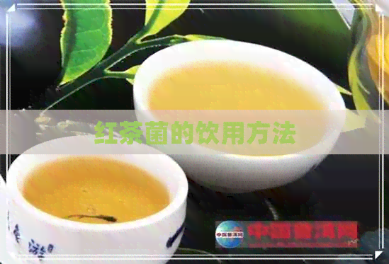 红茶菌的饮用方法