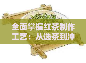 全面掌握红茶制作工艺：从选茶到冲泡的详细步骤与技巧