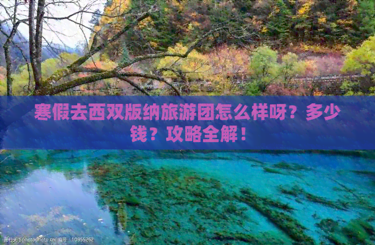 寒假去西双版纳旅游团怎么样呀？多少钱？攻略全解！