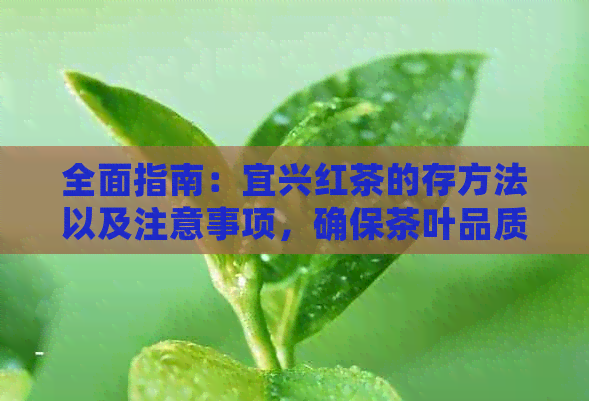 全面指南：宜兴红茶的存方法以及注意事项，确保茶叶品质和口感