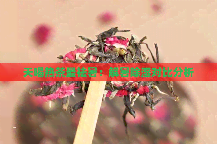 天喝热茶最祛暑：解暑除湿对比分析