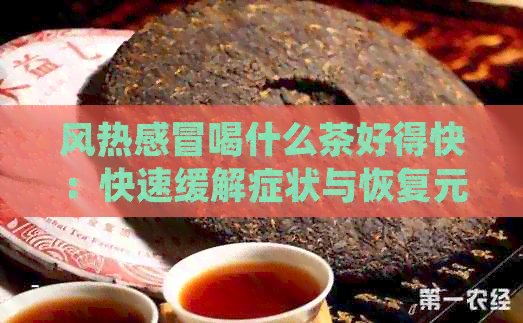 风热感冒喝什么茶好得快：快速缓解症状与恢复元气的茶饮推荐