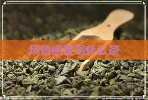 风热感冒喝什么茶