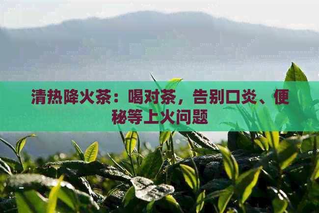 清热降火茶：喝对茶，告别口炎、便秘等上火问题