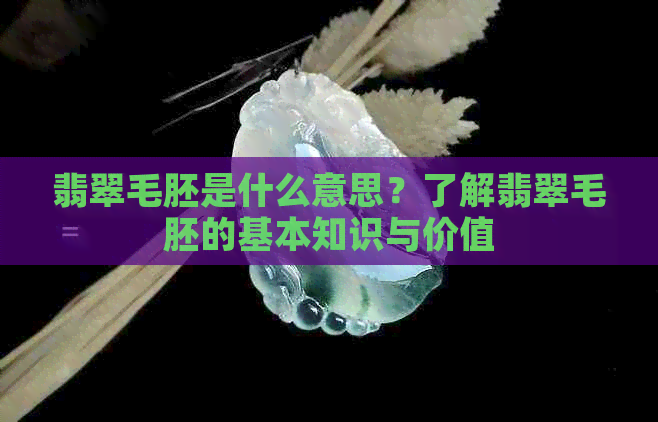 翡翠毛胚是什么意思？了解翡翠毛胚的基本知识与价值