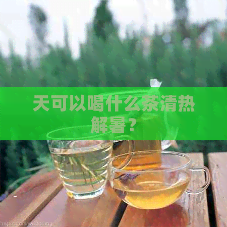 天可以喝什么茶清热解暑？