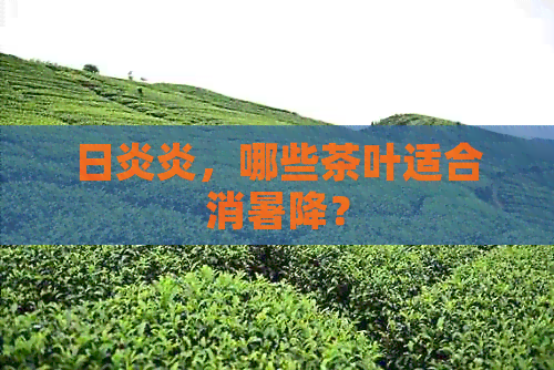 日炎炎，哪些茶叶适合消暑降？