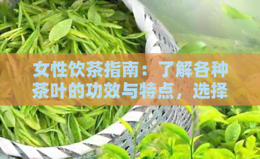 女性饮茶指南：了解各种茶叶的功效与特点，选择最适合你的茶品