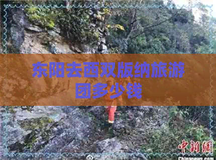 东阳去西双版纳旅游团多少钱