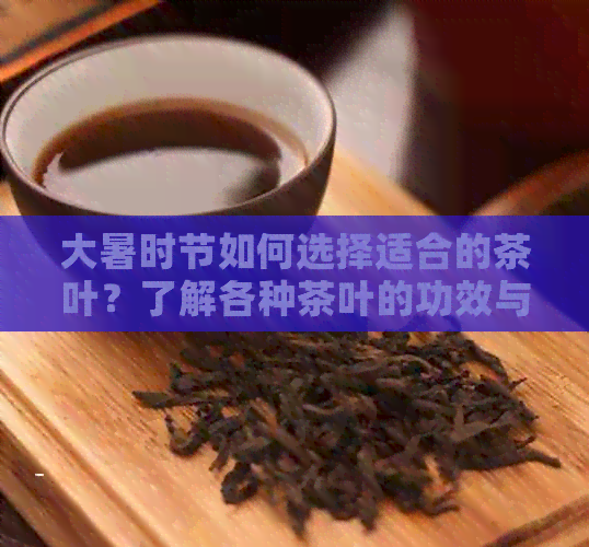 大暑时节如何选择适合的茶叶？了解各种茶叶的功效与特点