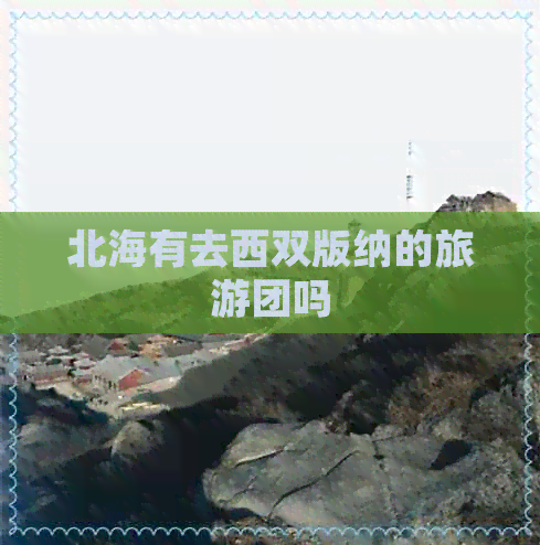 北海有去西双版纳的旅游团吗